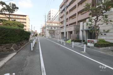 敷地西側の前面道路（南西側から）