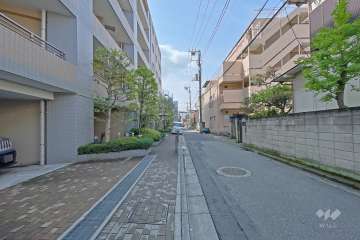 敷地西側の前面道路（北側から）