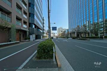敷地西側の前面道路（桜新道）