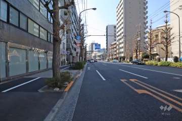 敷地北西側の前面道路（南西側から）