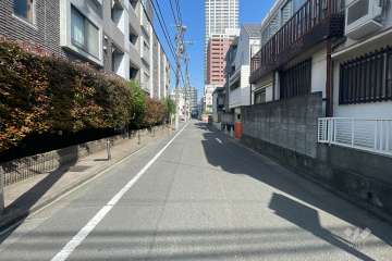 敷地北東側の洗面道路（南東側から）