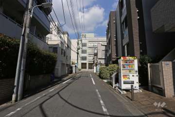 敷地北西側の前面道路（南西側から）