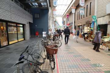 敷地西側の前面道路（北側から）