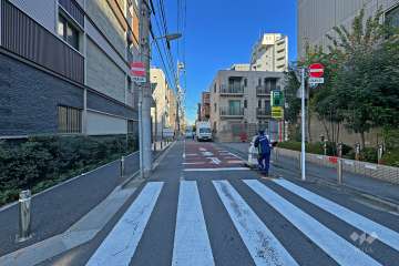 敷地の西側前面道路（北側から）
