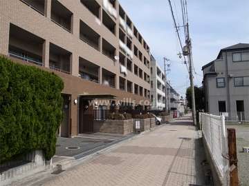 敷地南側の前面道路