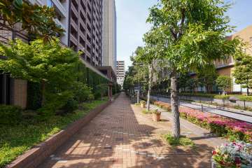 敷地東側の前面道路（南側から）
