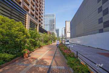 敷地南側の前面道路（西側から）