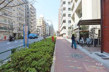 敷地の南西側の前面道路（南東側から）