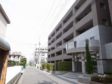 敷地西側の前面道路。