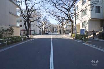敷地北西側の前面道路