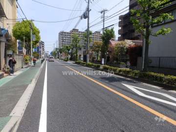 敷地北側の前面道路。歩道、街路樹がある通りです。