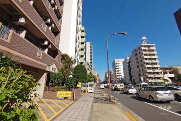 敷地東側の前面道路（南側から）