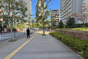 敷地北西側の前面道路（南西側から）