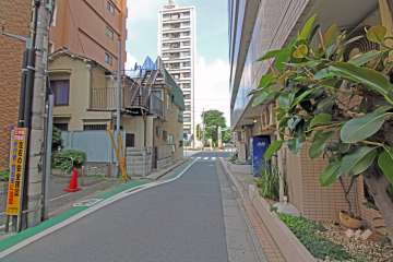 敷地西側の前面道路（南側から）。奥の道路は中原街道です。