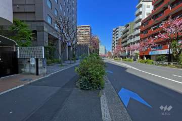 敷地北の前面道路（西側から）