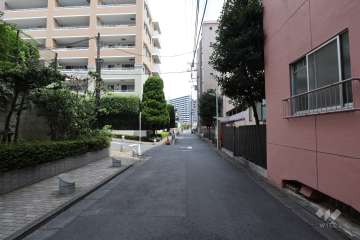 敷地北西側の前面道路(南西側から)