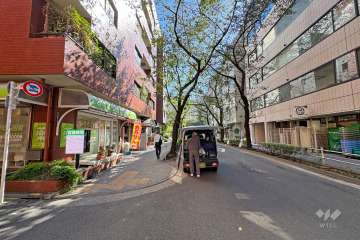 敷地南側の前面道路（西側から）