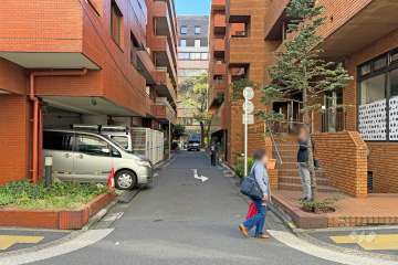 敷地西側の前面道路（北側から）