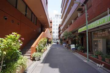 敷地東側の前面道路