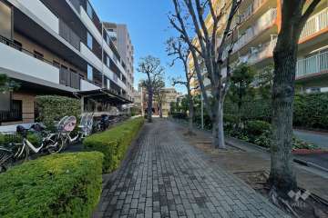 敷地南西側の通路