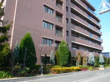 植栽豊かなエントランス周り