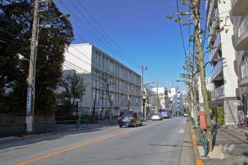 敷地北西側の前面道路（都道421号池上通り）