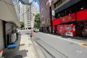 敷地の西側前面道路（南側から）