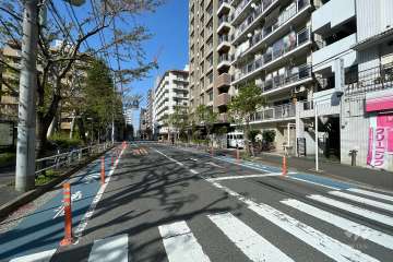 敷地西側の前面道路　
