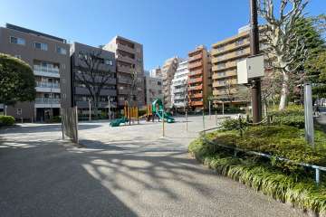 敷地前の大井海岸公園　