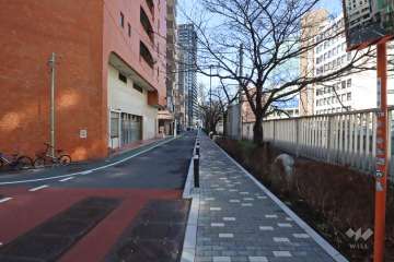 敷地北側の前面道路(東側から)