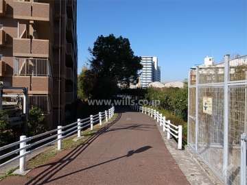 川沿いには緑のきれいな遊歩道が整備されています。