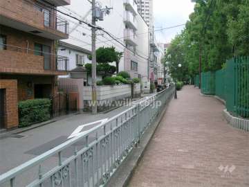 敷地北側の前面道路。やや交通量がありますが街路樹がきれいで、歩道もあります。
