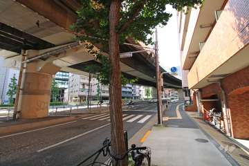 敷地東側の前面道路（北側から）