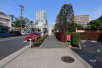 敷地北側の前面道路　
