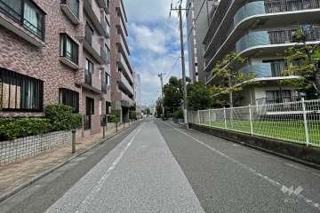 敷地東側の前面道路（西側から）