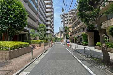 敷地北側の前面道路（西側から）