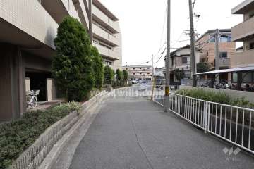 敷地西側の道路。車の進入はできません。