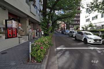 敷地北東側の前面道路（東側から）