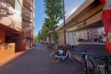 敷地西側の前面道路（北側から）