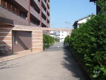 敷地内は植栽が緑豊かです。