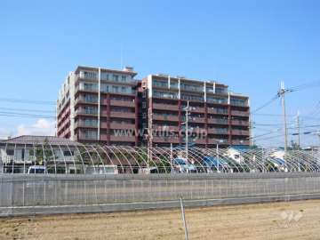 パレ武庫之荘マスターズプレイスの遠景