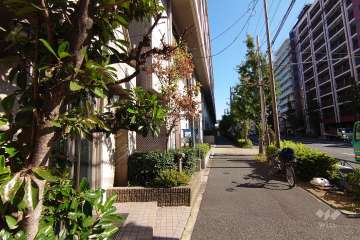 敷地の南側前面道路（西側から）