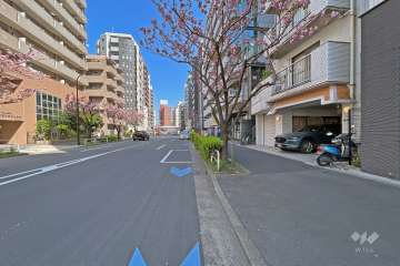 敷地北側の前面道路（西側から）