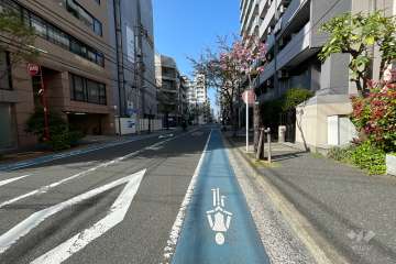 敷地西側の前面道路（南側から）