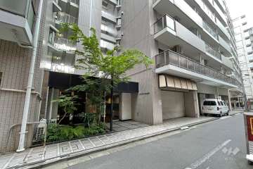 敷地の西側前面道路（北側から）