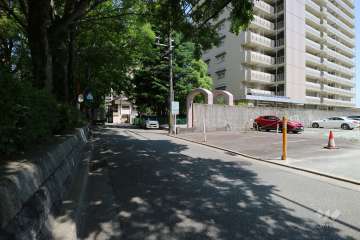 敷地北側の前面道路