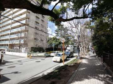 前面道路は花のみちに続く、街路樹が並ぶ通りです。