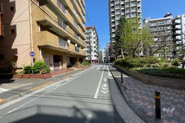 敷地南側の前面道路（西側から）