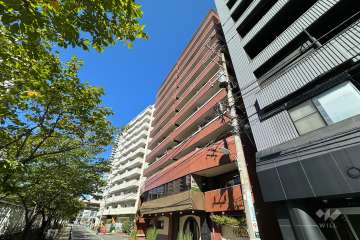 リバーサイドニックハイム五反田の外観（南東側から）