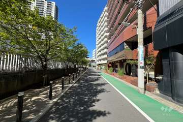 敷地の南側前面道路（東側から）